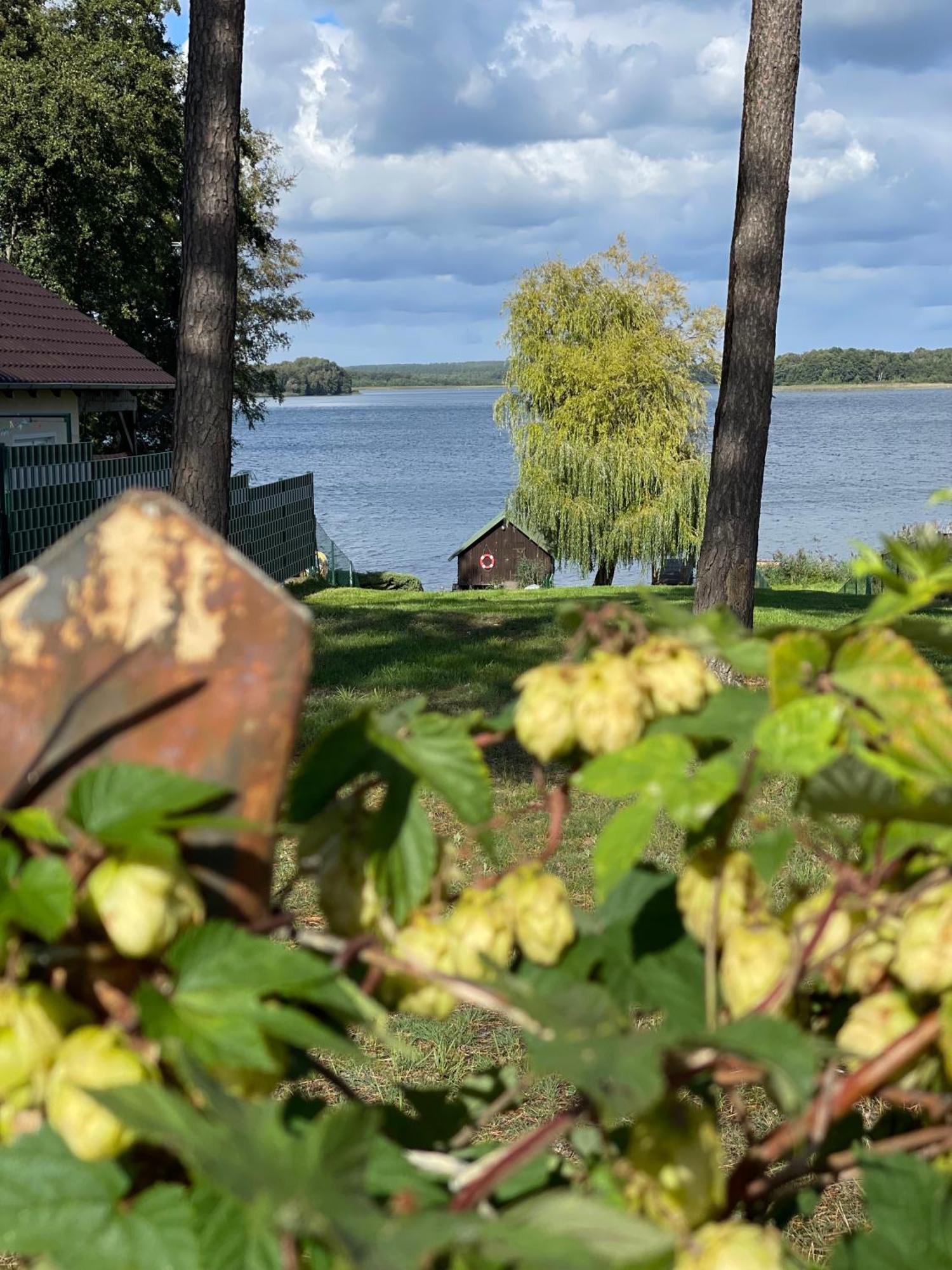 Urlaub Am Plaetlinsee - Haus Odin Wustrow  Exterior photo